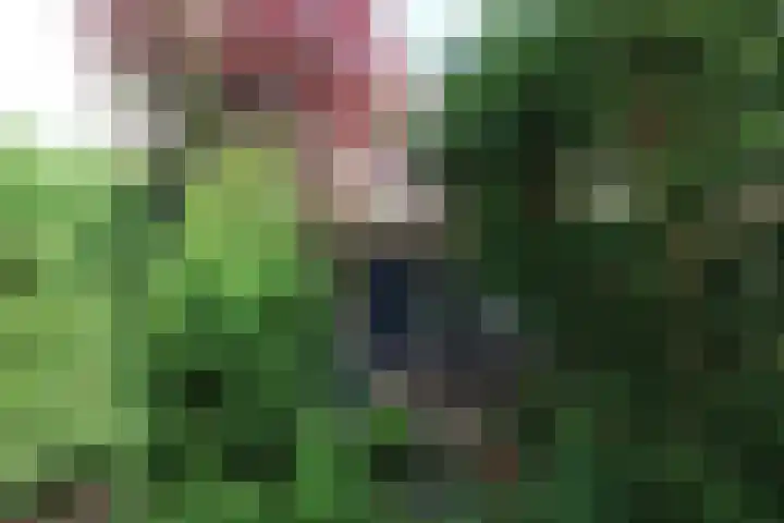 Krommewoud 26 Zwaag thumbnail 4