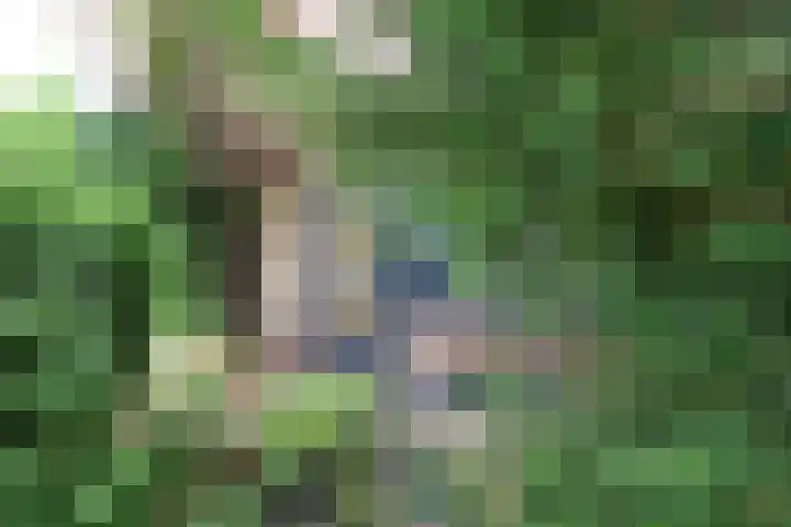 Krommewoud 26 Zwaag thumbnail 5