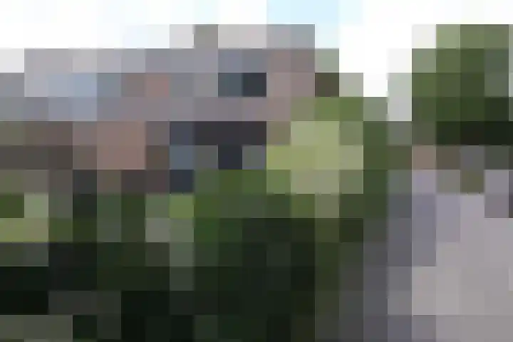 Krommewoud 26 Zwaag thumbnail 6