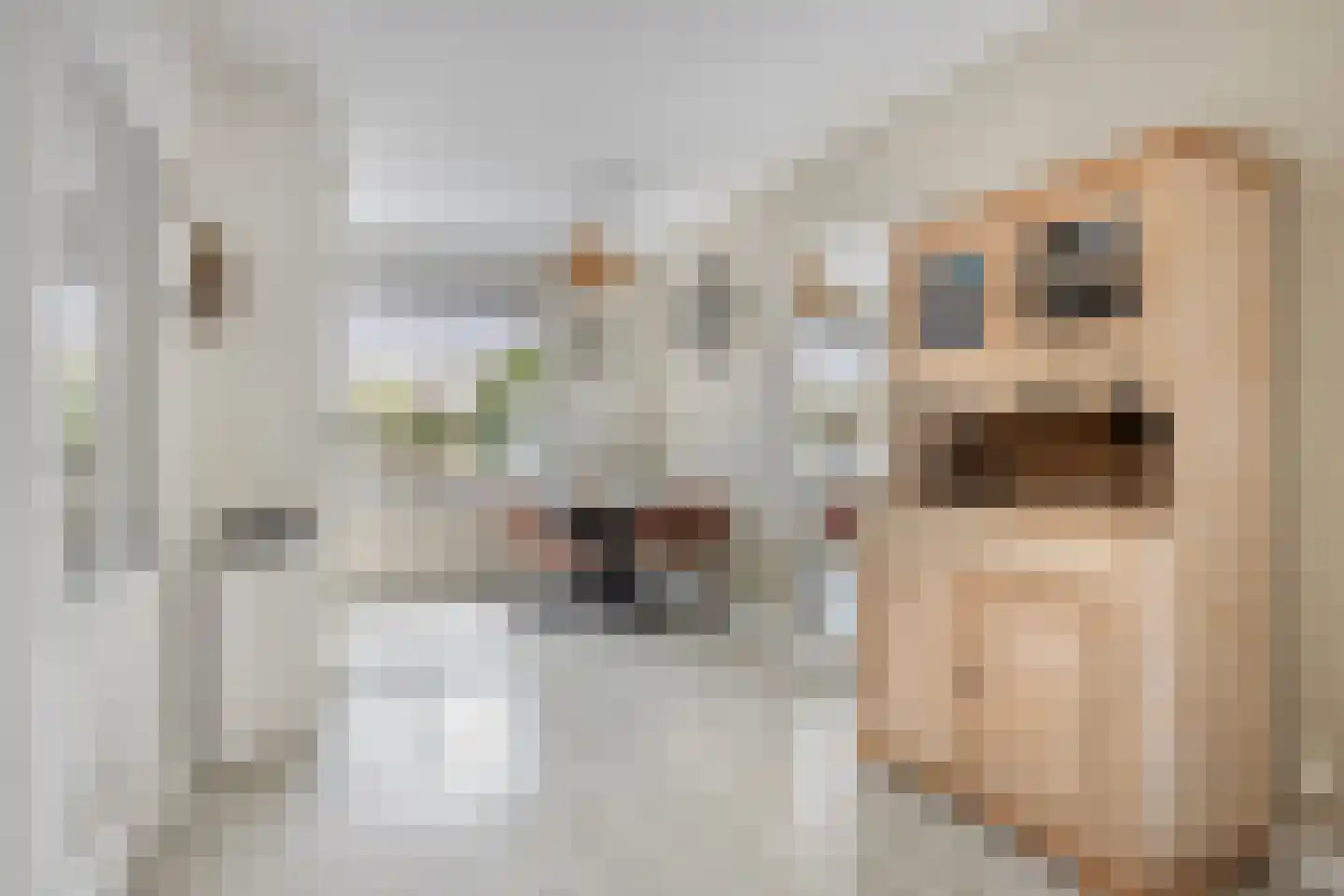 Krommewoud 27 Zwaag thumbnail 11