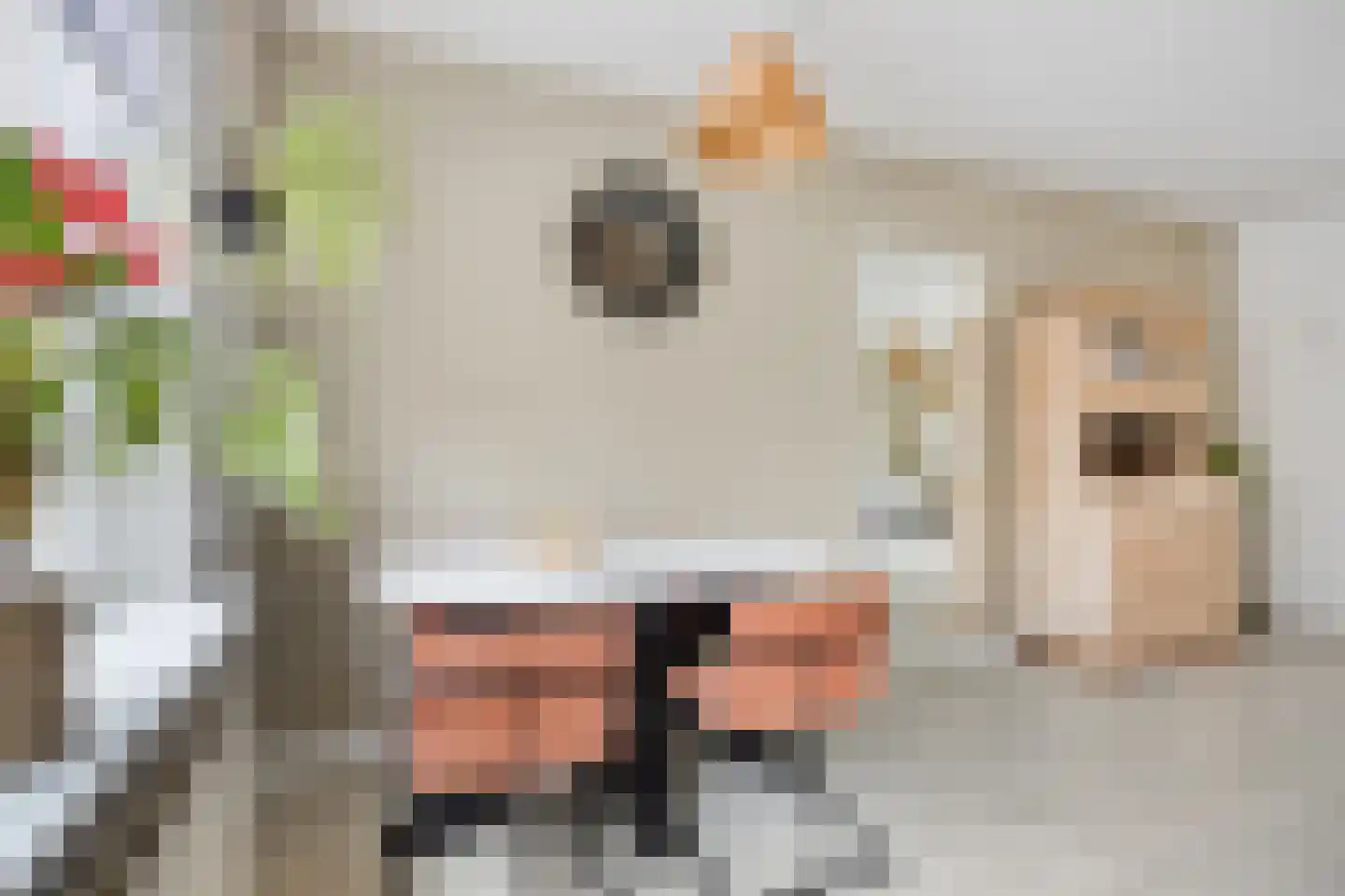 Krommewoud 27 Zwaag thumbnail 12