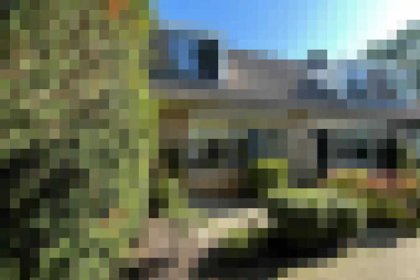 Krommewoud 27 Zwaag thumbnail 32