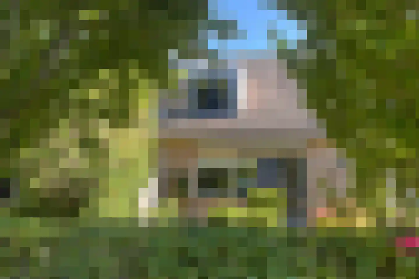 Krommewoud 27 Zwaag thumbnail 33