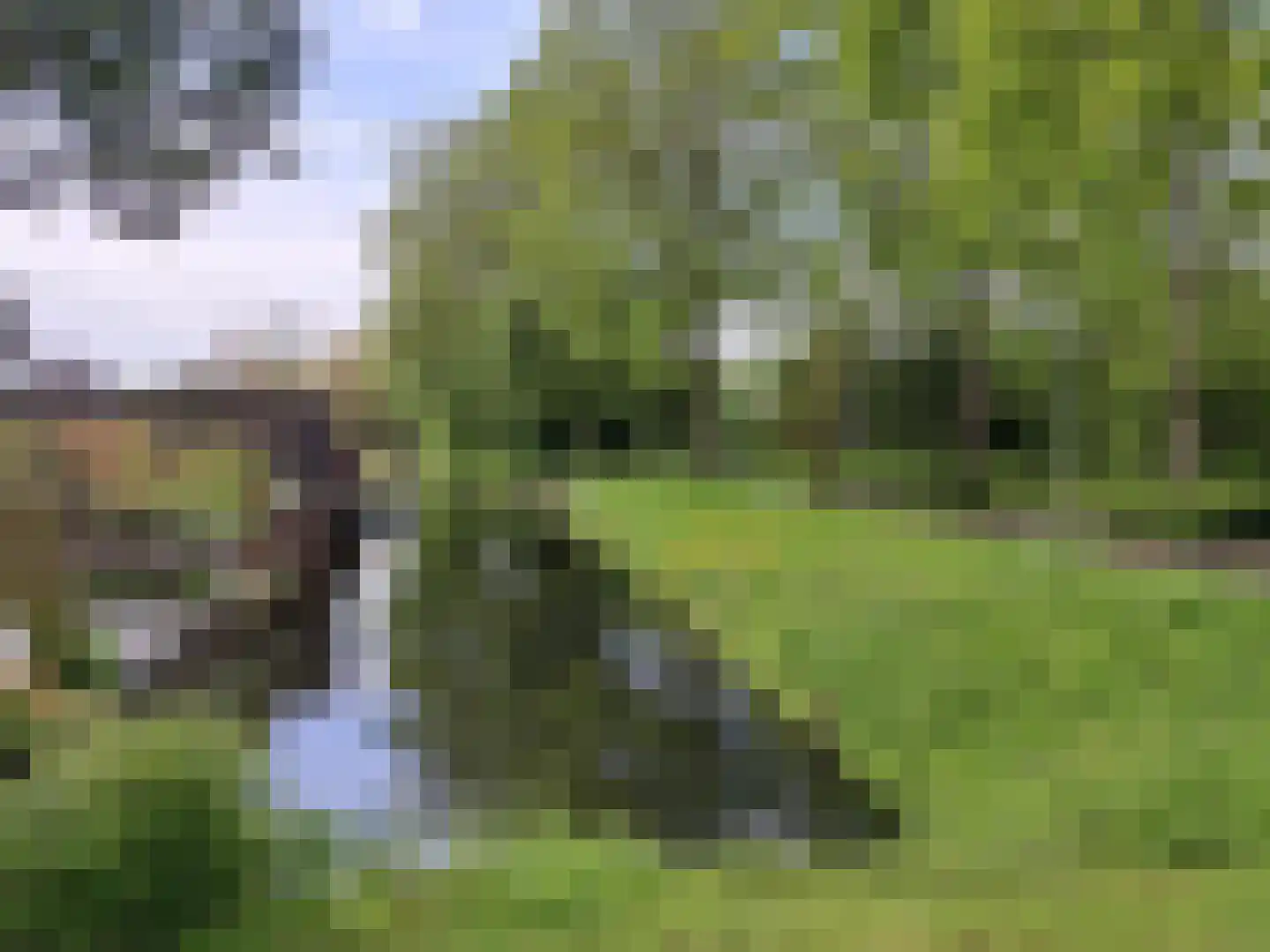 Krommewoud 27 Zwaag thumbnail 35