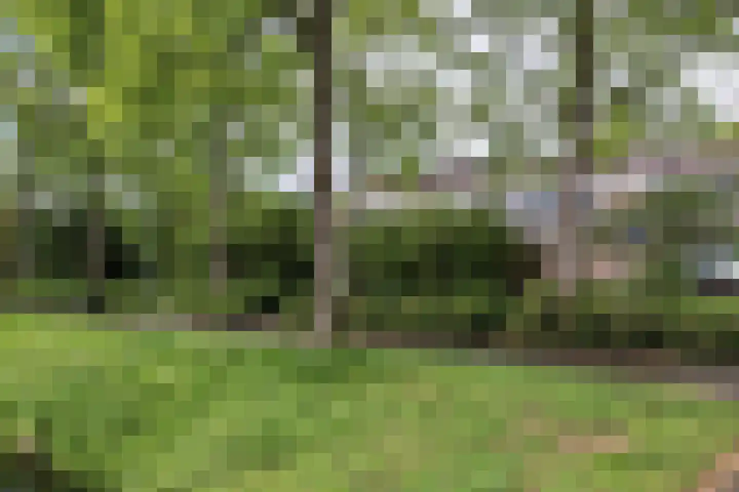Krommewoud 27 Zwaag thumbnail 36