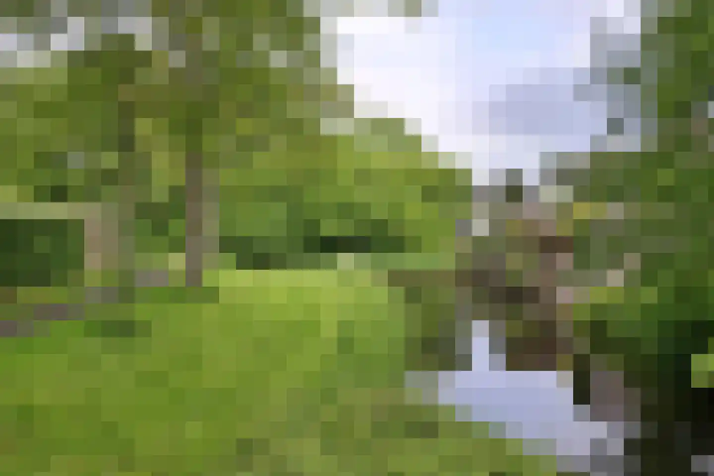 Krommewoud 27 Zwaag thumbnail 37
