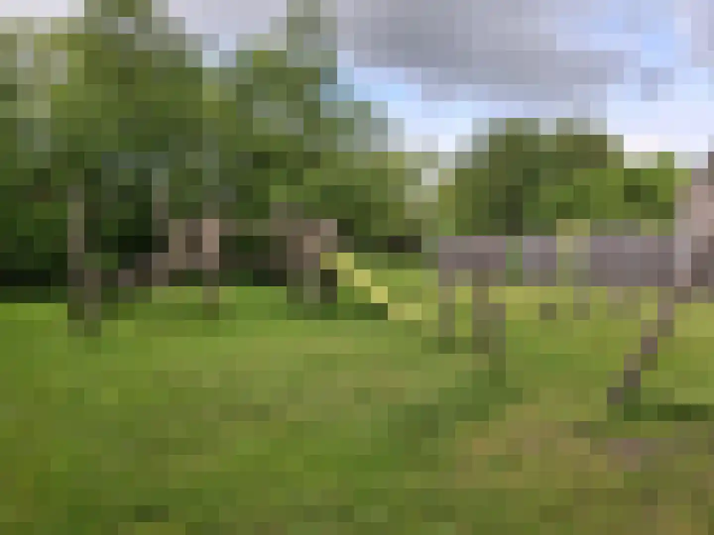 Krommewoud 27 Zwaag thumbnail 38