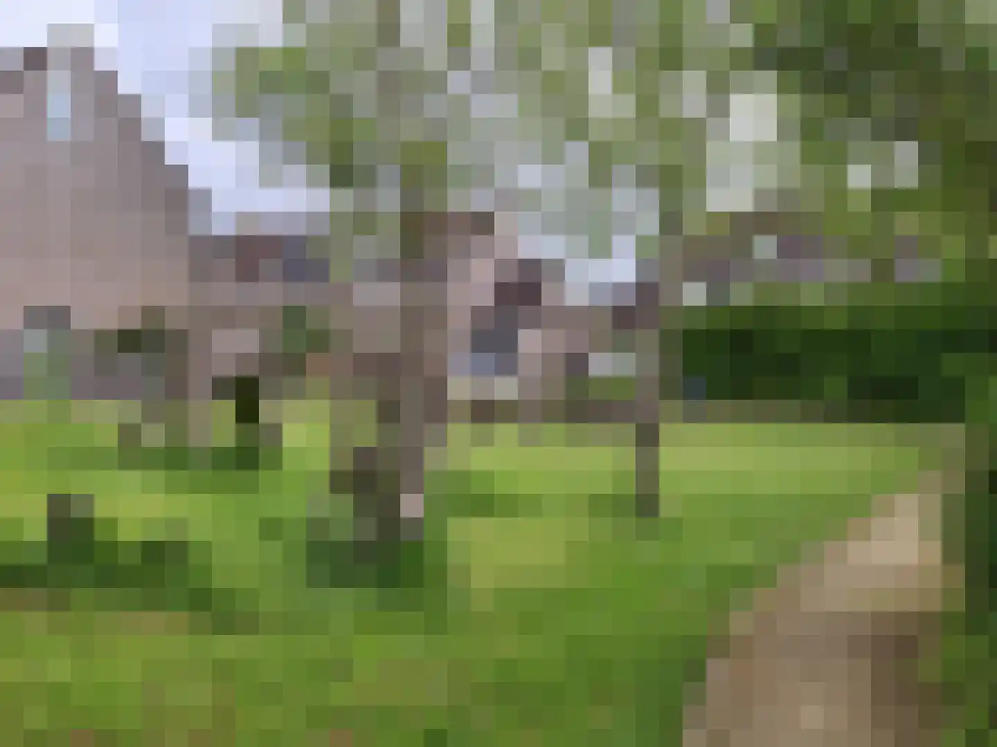 Krommewoud 27 Zwaag thumbnail 39