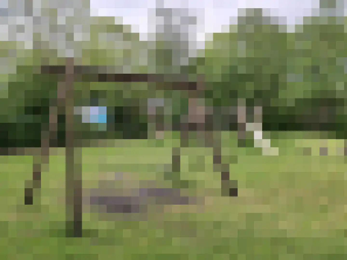Krommewoud 27 Zwaag thumbnail 40