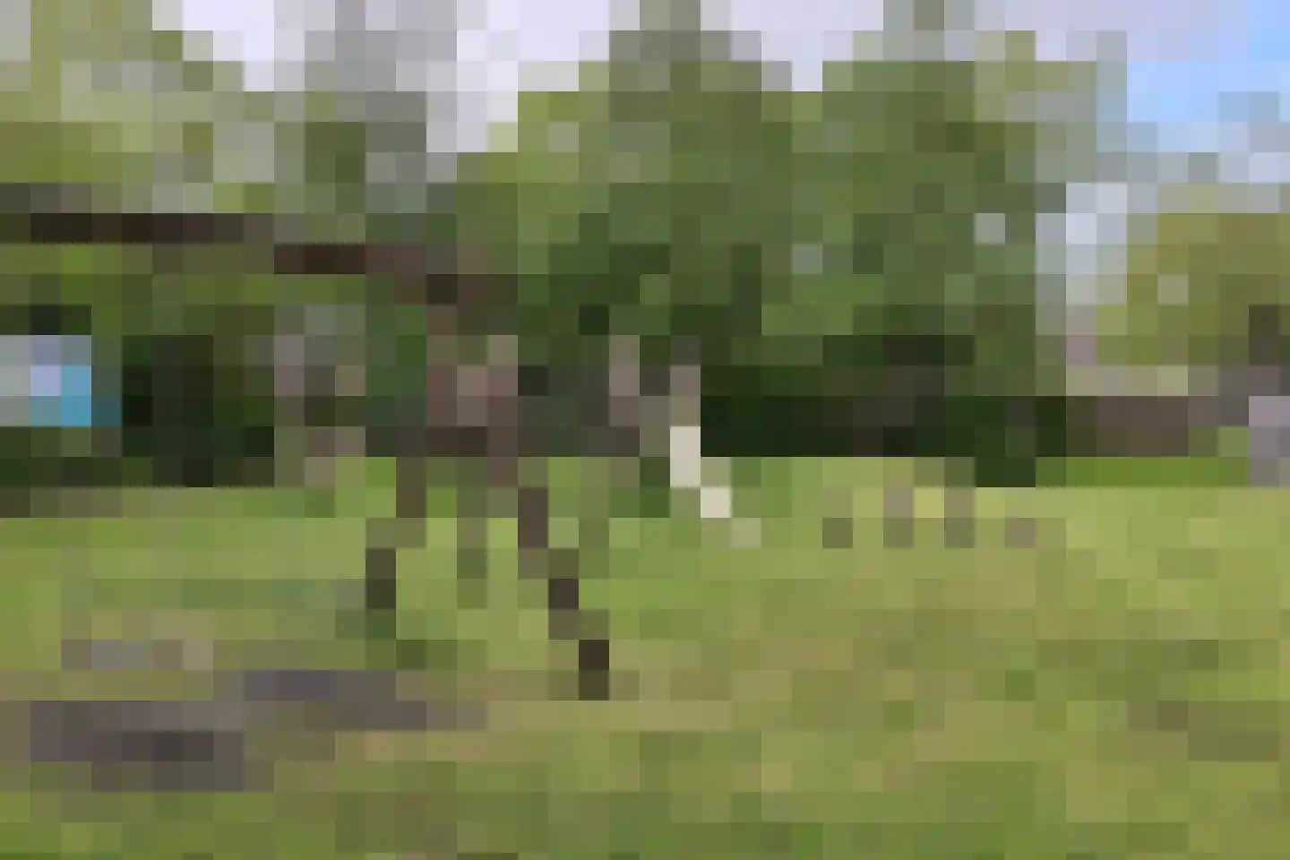 Krommewoud 27 Zwaag thumbnail 41
