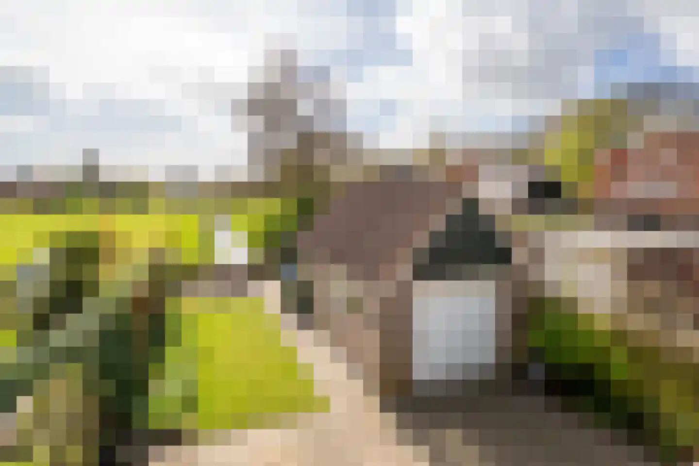 Krommewoud 35 Zwaag thumbnail 22