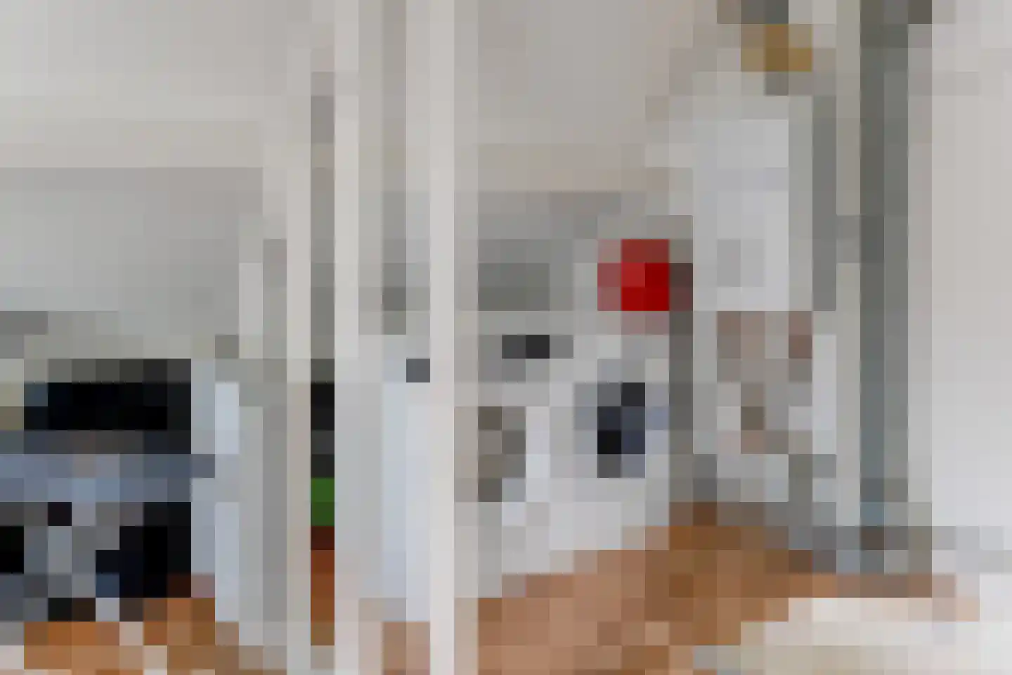 Krommewoud 35 Zwaag thumbnail 39