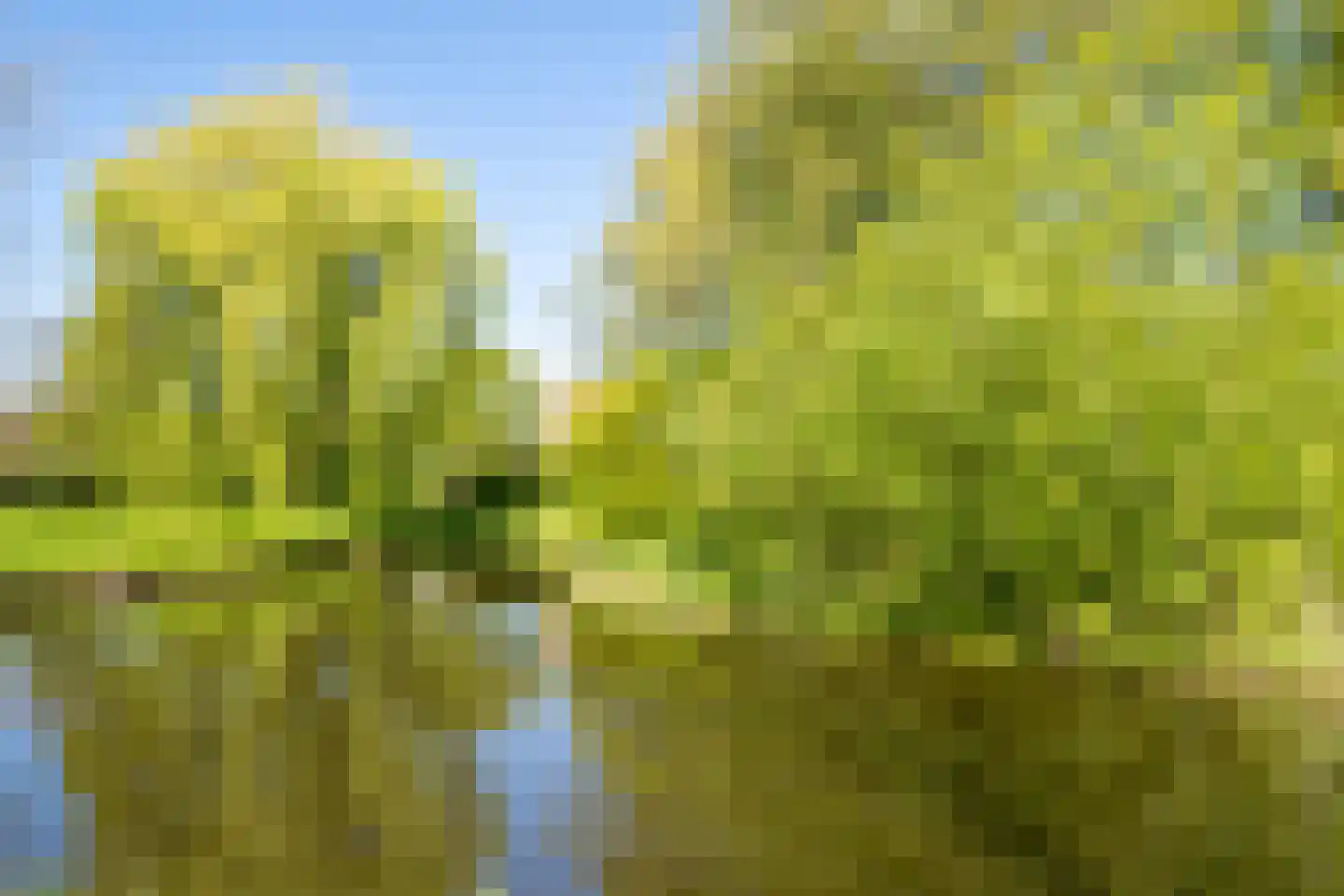 Krommewoud 35 Zwaag thumbnail 45