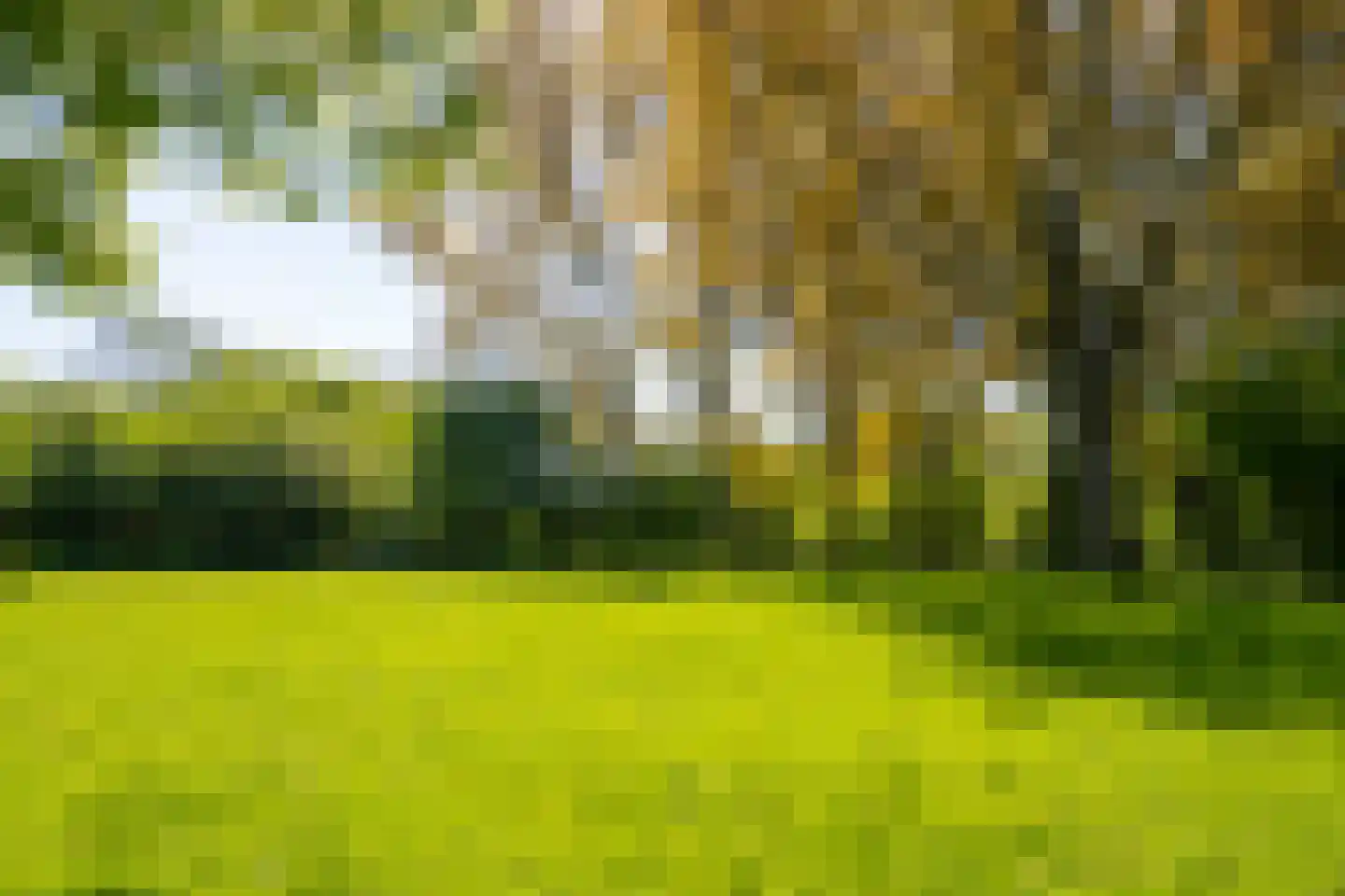 Krommewoud 35 Zwaag thumbnail 46