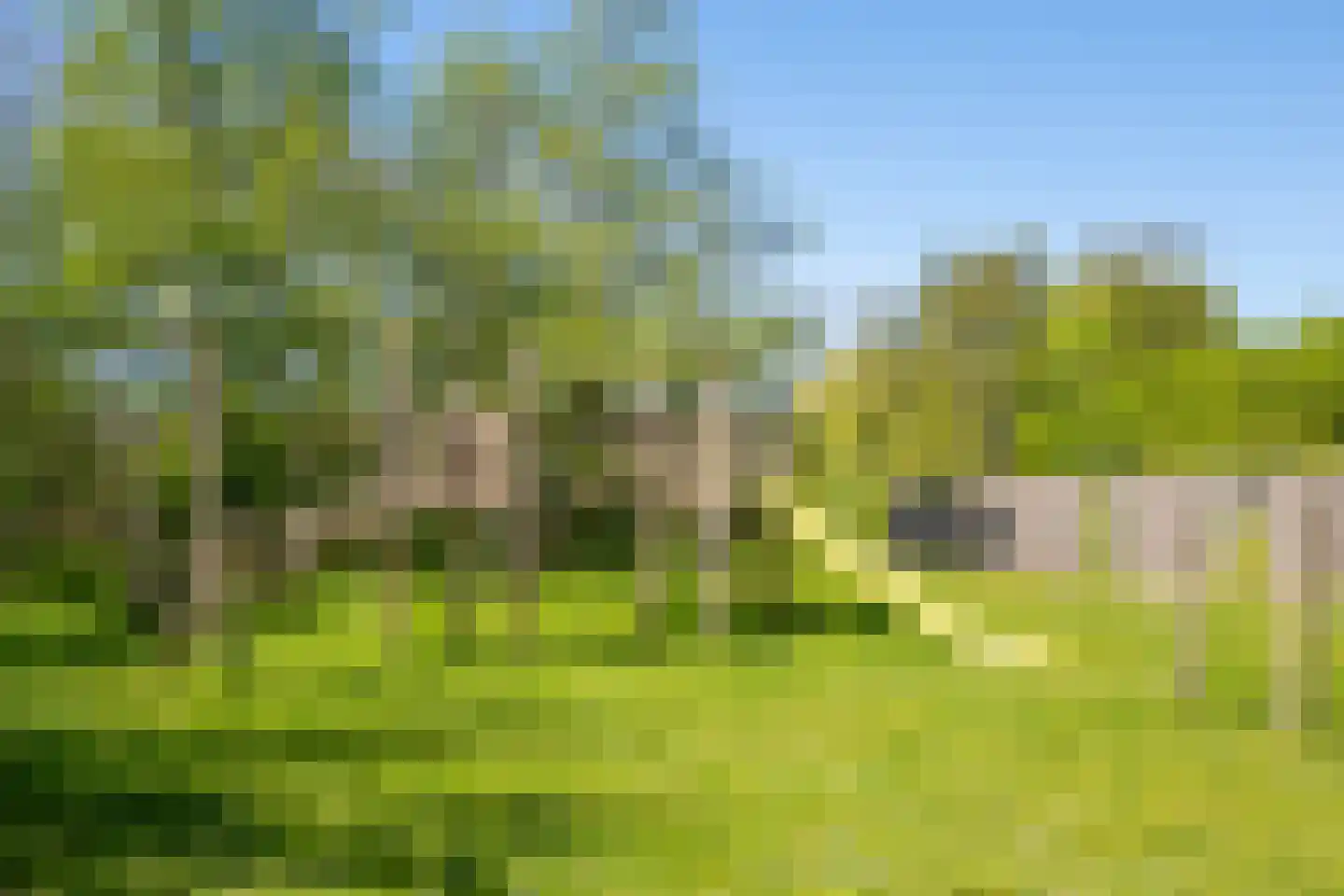 Krommewoud 35 Zwaag thumbnail 47