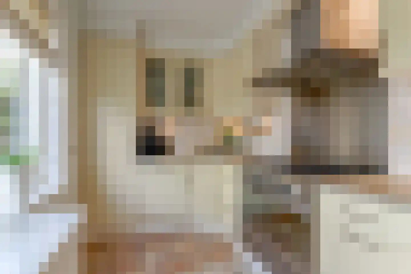 Krommewoud 35 Zwaag thumbnail 8