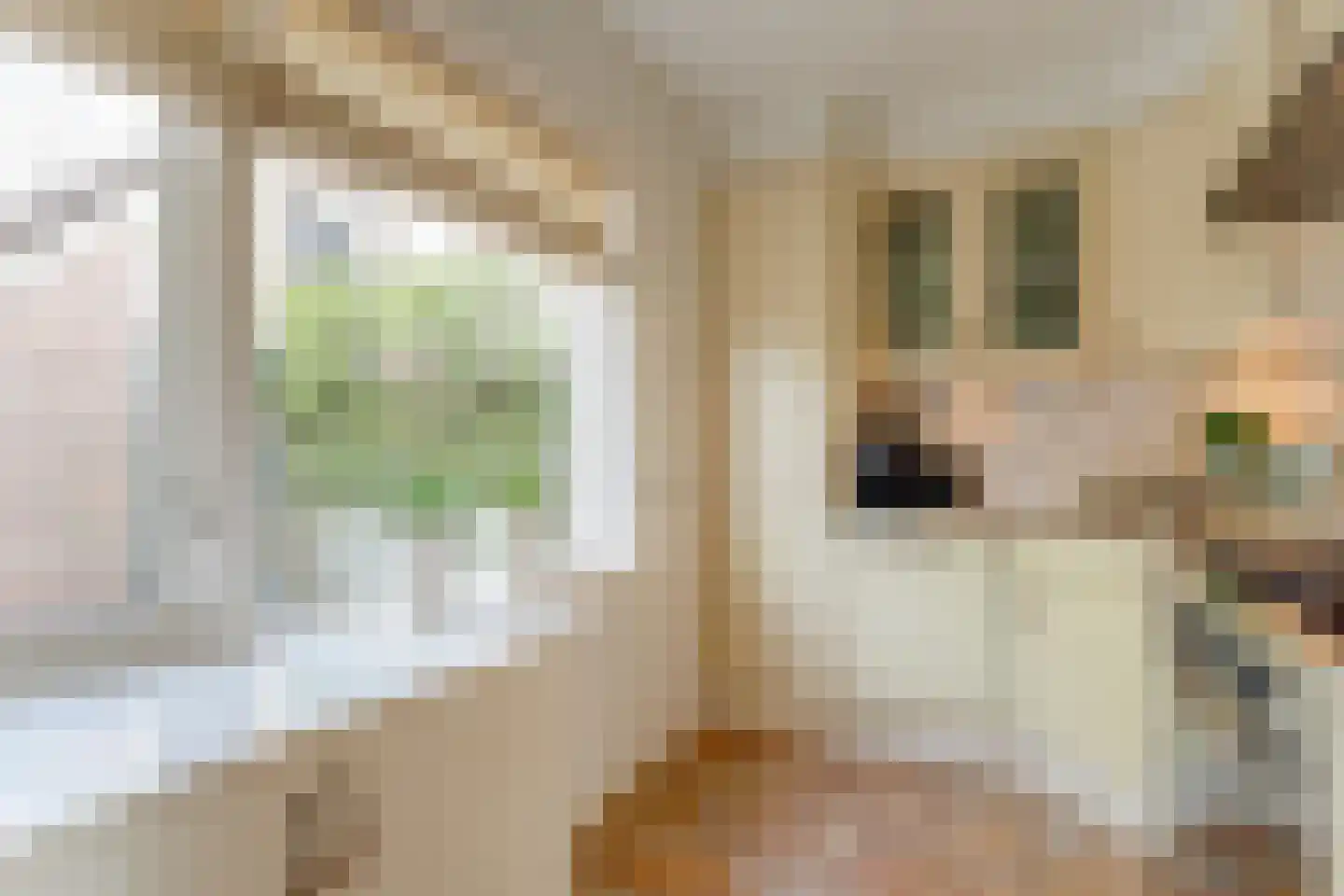 Krommewoud 35 Zwaag thumbnail 9