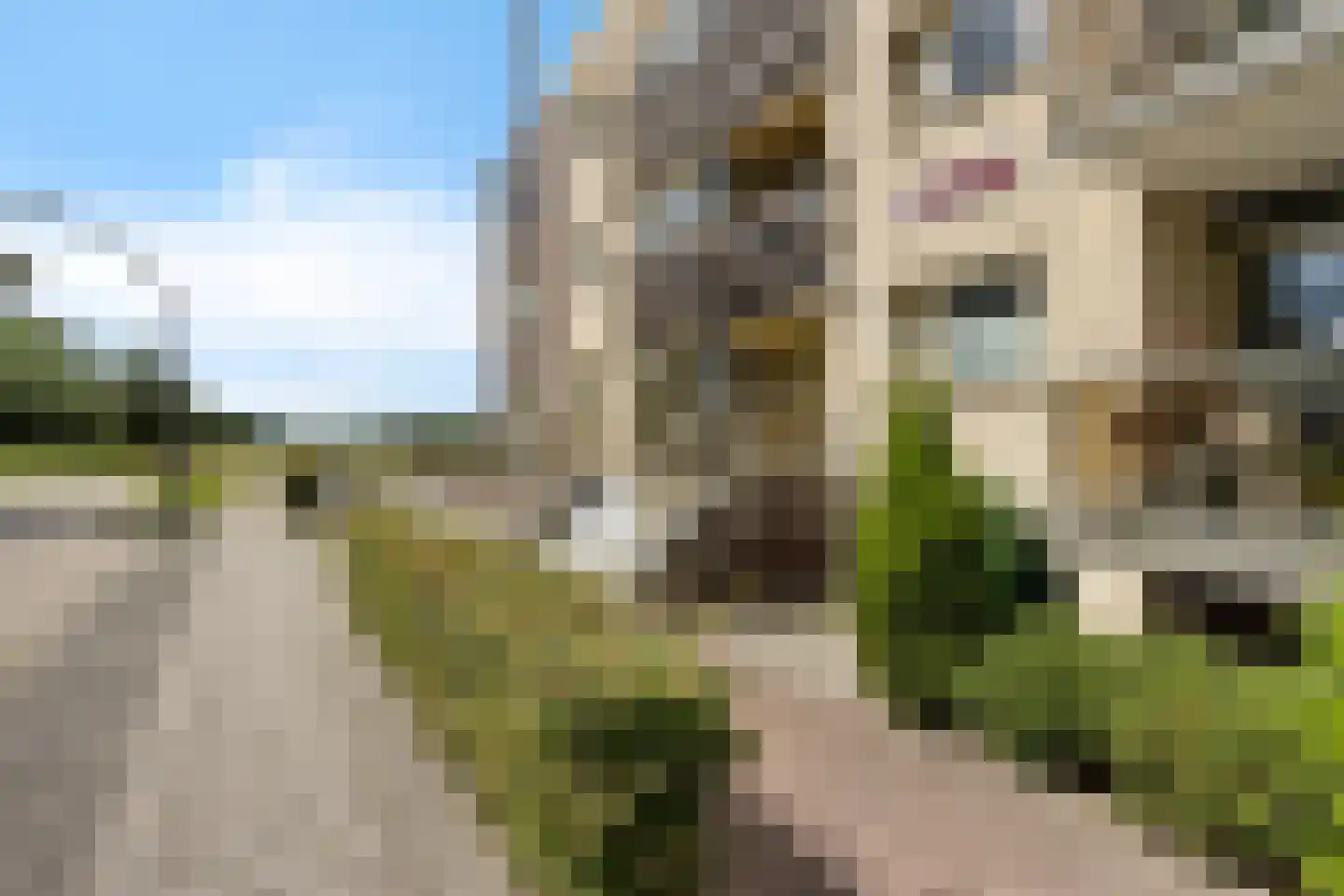 Krommezijl 110 Leeuwarden thumbnail 28