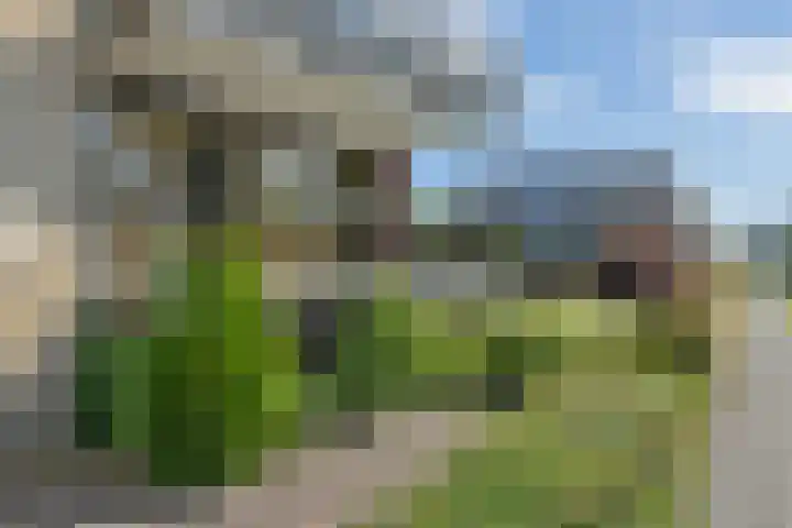 Krommezijl 112 Leeuwarden thumbnail 4