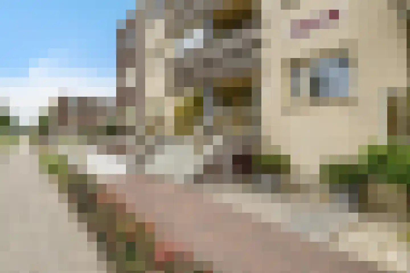 Krommezijl 52 Leeuwarden thumbnail 32