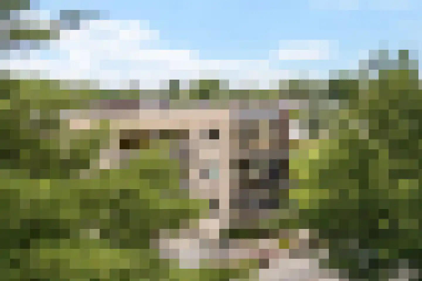 Krommezijl 52 Leeuwarden thumbnail 47