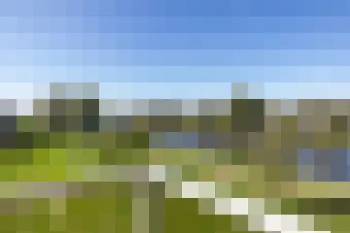 Krommezijl 68 Leeuwarden thumbnail 5
