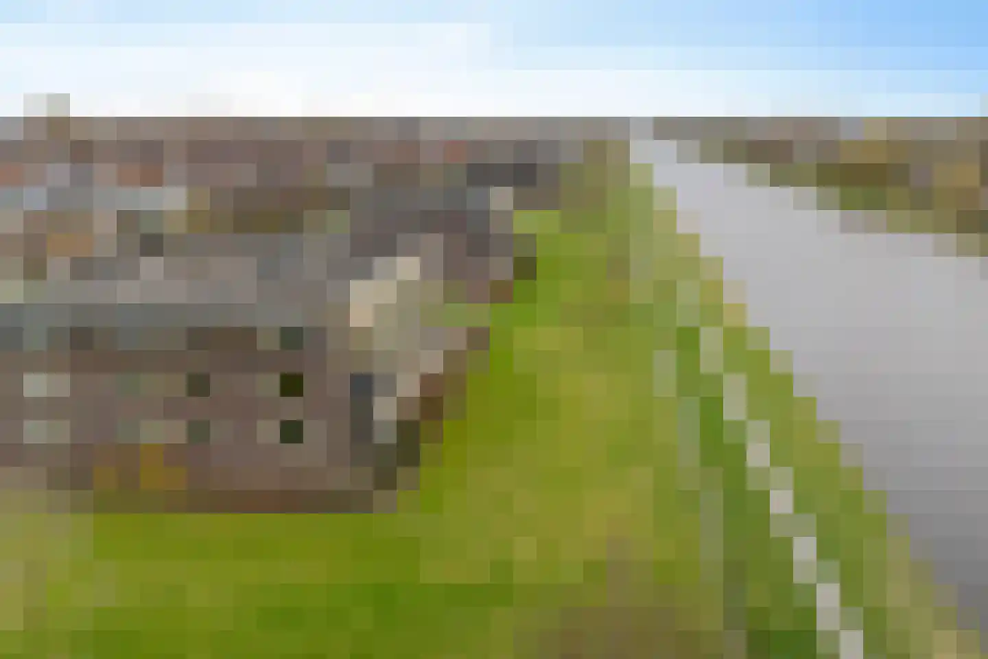 Krommezijl 8 Leeuwarden thumbnail 31