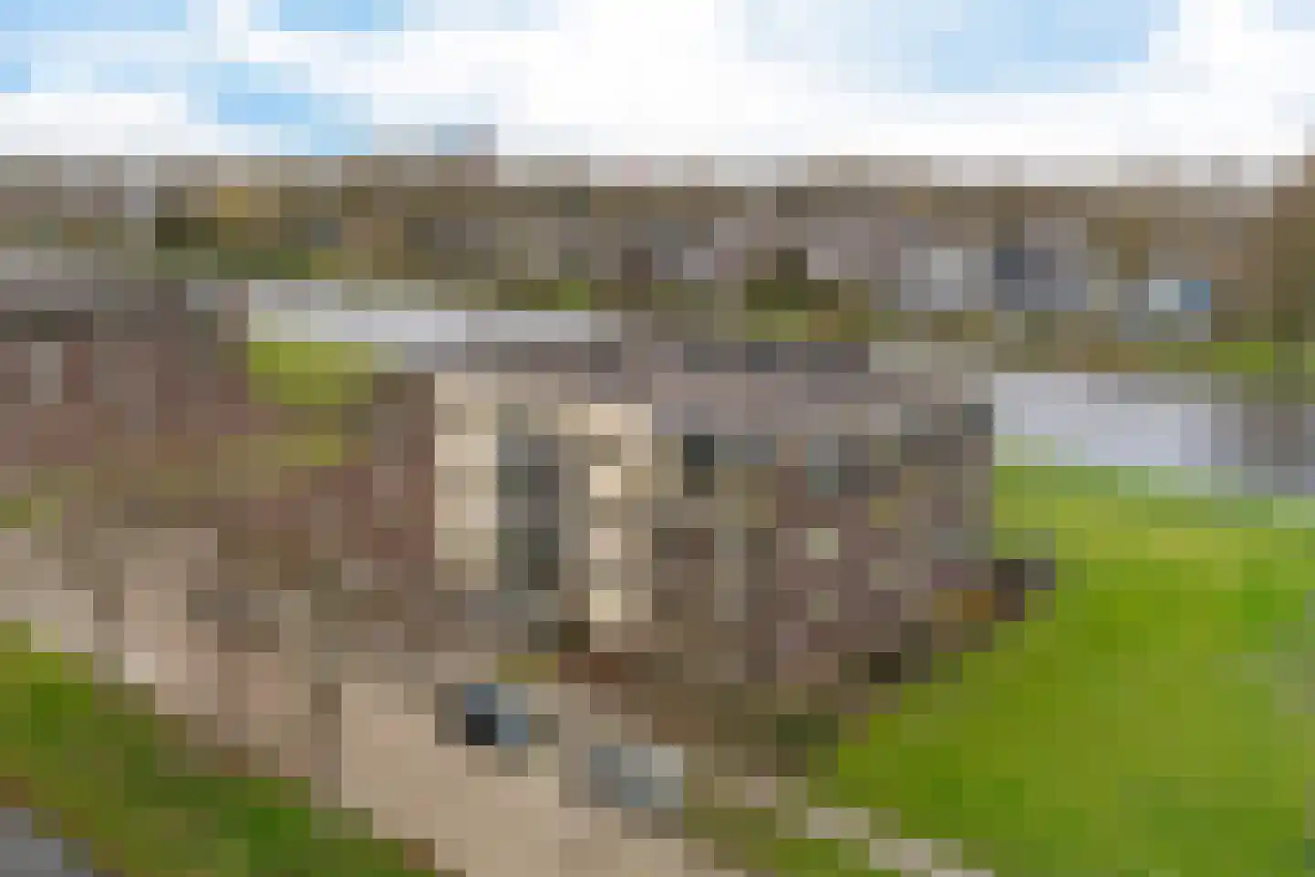 Krommezijl 8 Leeuwarden thumbnail 38