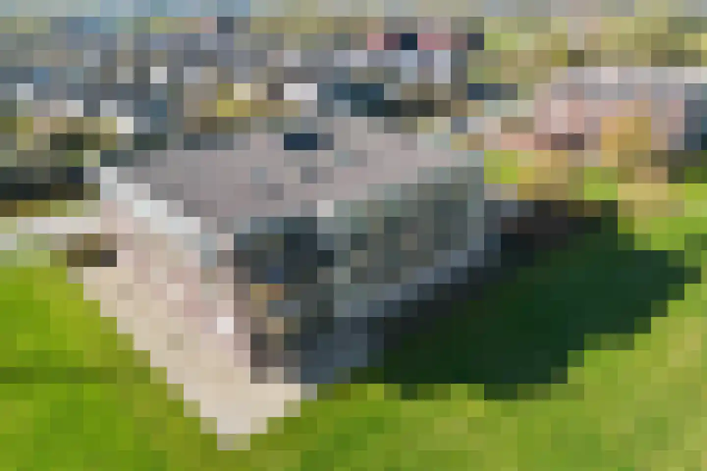 Krommezijl 96 Leeuwarden thumbnail 31