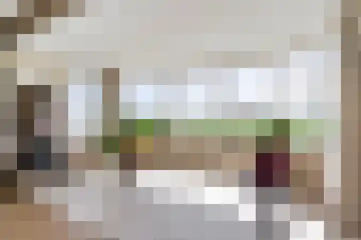 Krompad 1 D Echtenerbrug thumbnail 10