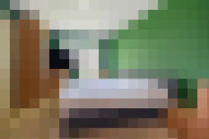 Krompad 1 D Echtenerbrug thumbnail 13