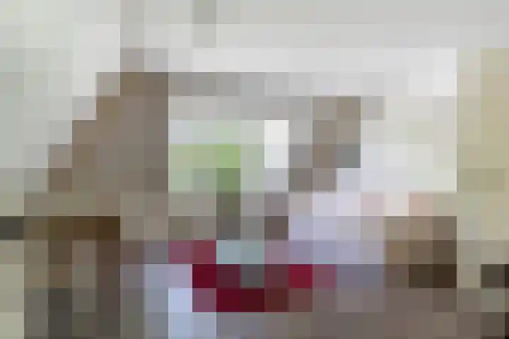 Krompad 1 D Echtenerbrug thumbnail 20