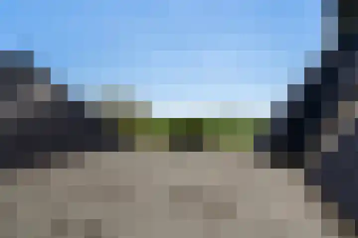 Krompad 1 D Echtenerbrug thumbnail 26
