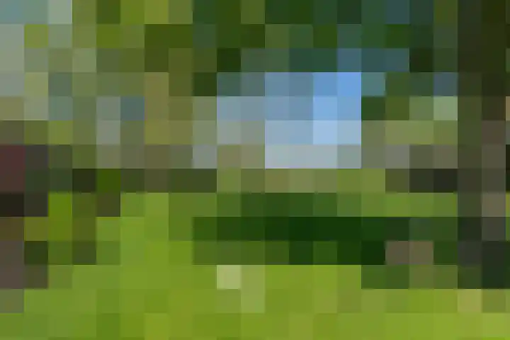 Krompad 1 D Echtenerbrug thumbnail 28