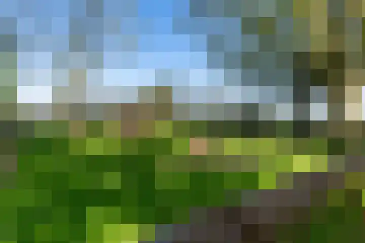 Krompad 1 D Echtenerbrug thumbnail 35