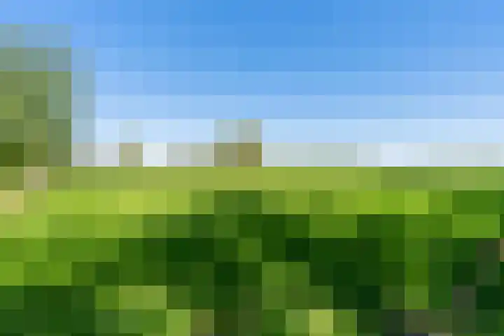 Krompad 1 D Echtenerbrug thumbnail 36