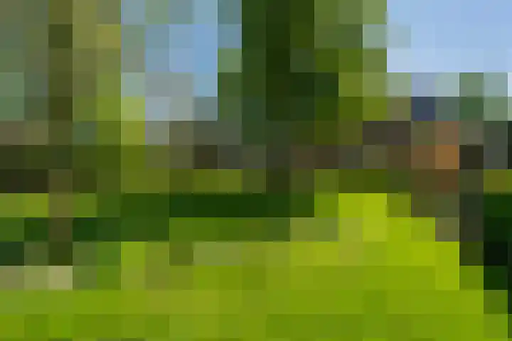 Krompad 1 D Echtenerbrug thumbnail 38