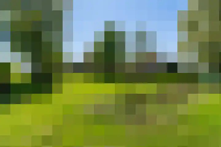 Krompad 1 D Echtenerbrug thumbnail 4