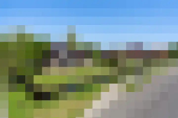 Krompad 1 D Echtenerbrug thumbnail 44