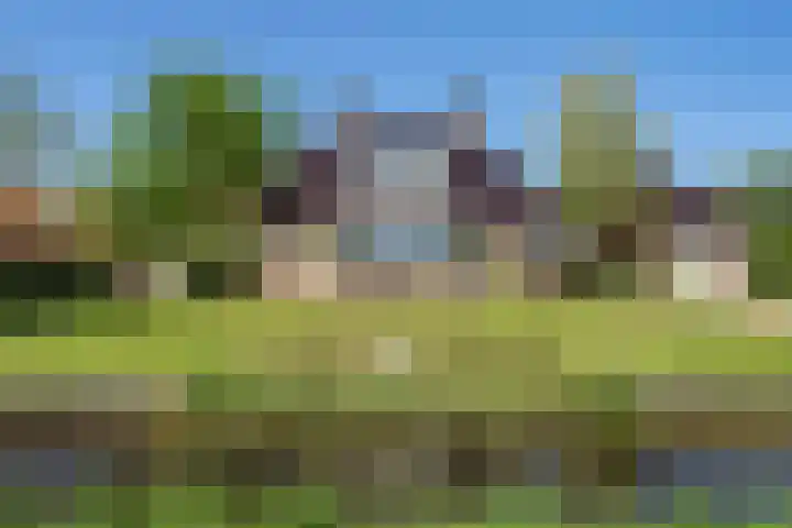 Krompad 1 D Echtenerbrug thumbnail 53