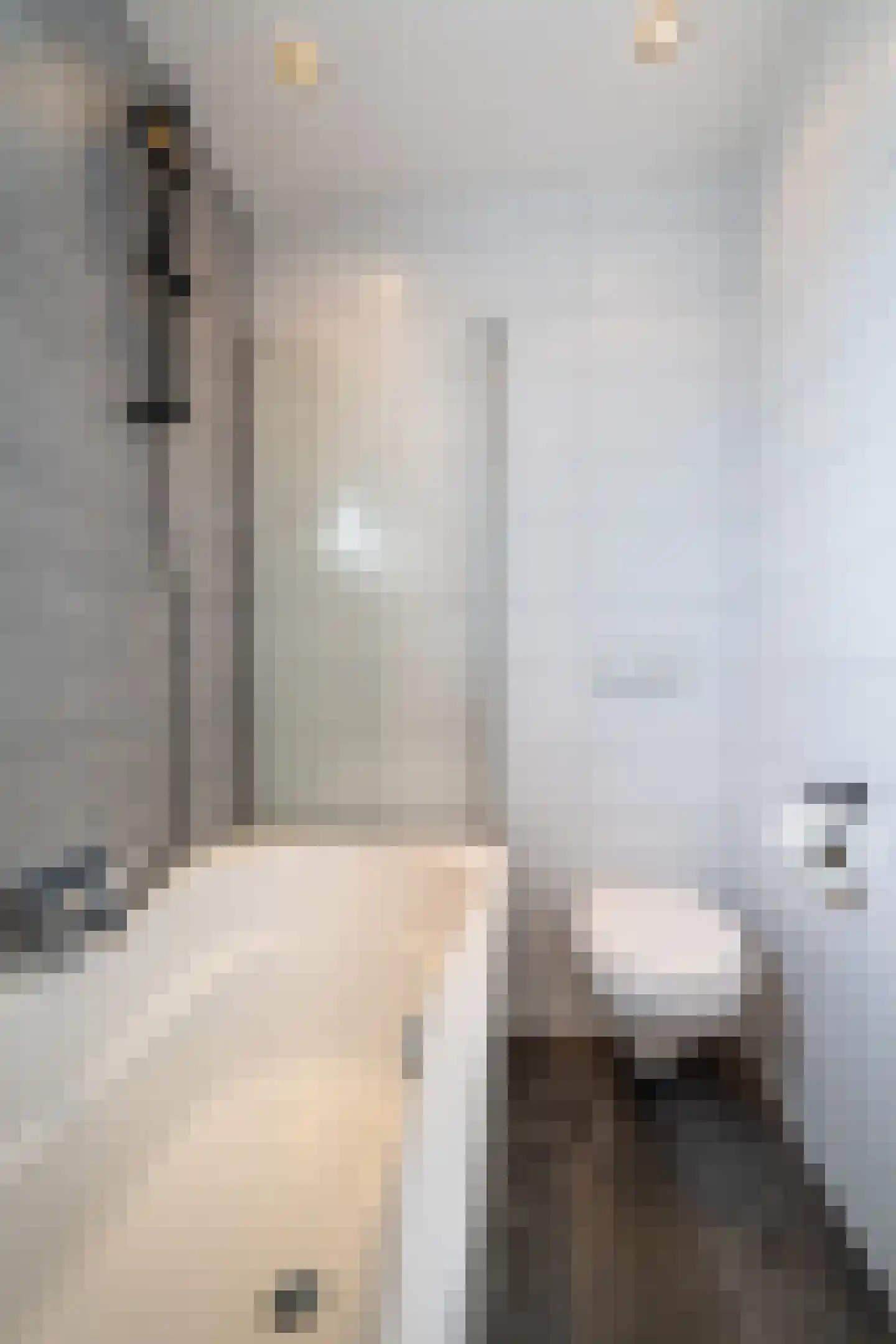 Krompbunderstraat 10 Stein thumbnail 21
