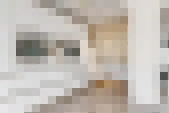 Krompbunderstraat 24 Stein thumbnail 10