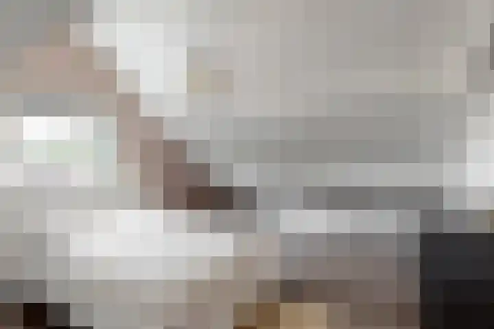 Krompbunderstraat 24 Stein thumbnail 26