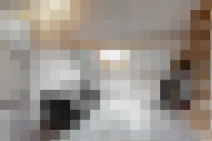 Krompbunderstraat 24 Stein thumbnail 29