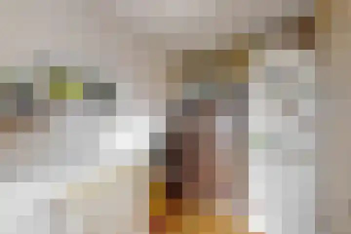 Krompbunderstraat 24 Stein thumbnail 32