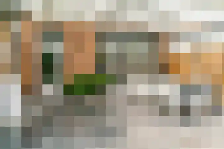 Krompbunderstraat 24 Stein thumbnail 33