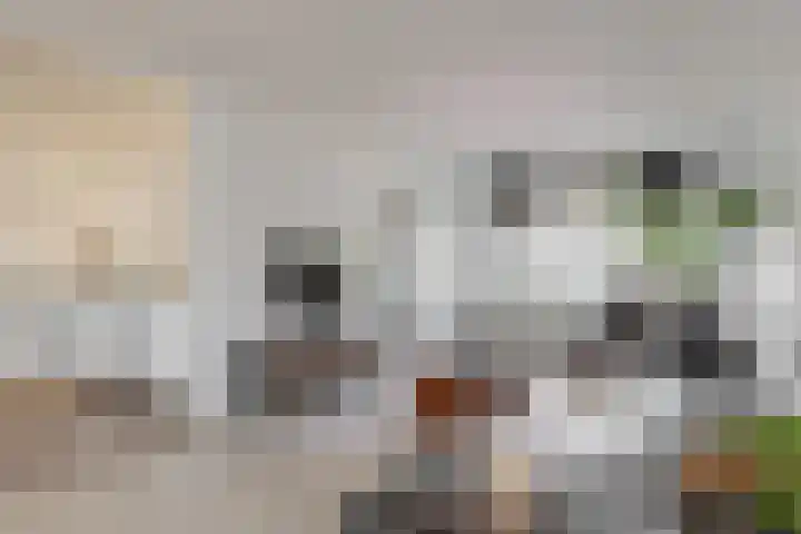 Krompbunderstraat 24 Stein thumbnail 8