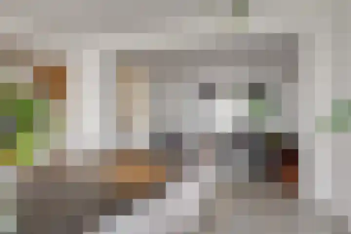 Krompbunderstraat 24 Stein thumbnail 9
