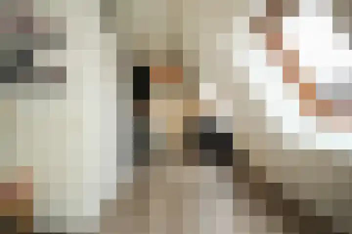 Kromsteeg 29 a Kerkdriel thumbnail 17