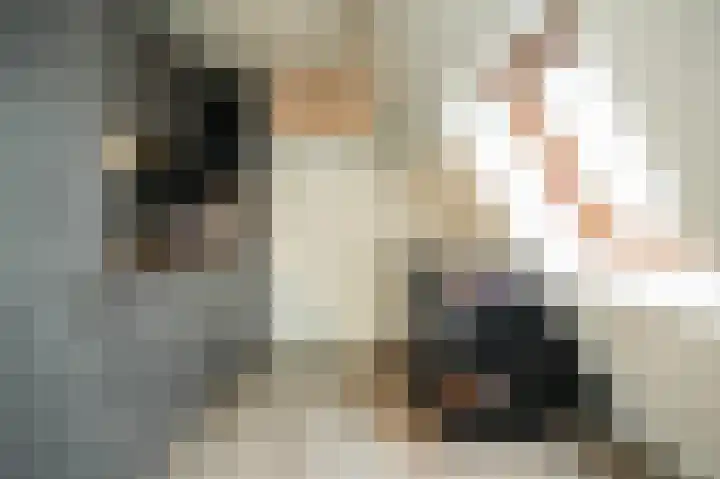 Kromsteeg 29 a Kerkdriel thumbnail 18